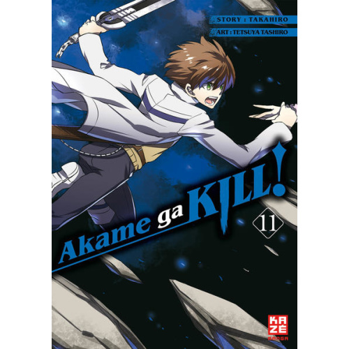 Akame ga KILL! 11