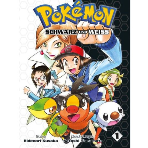 Pokémon Schwarz und Weiss 01