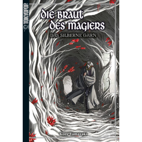 Die Braut des Magiers - Light Novel 02